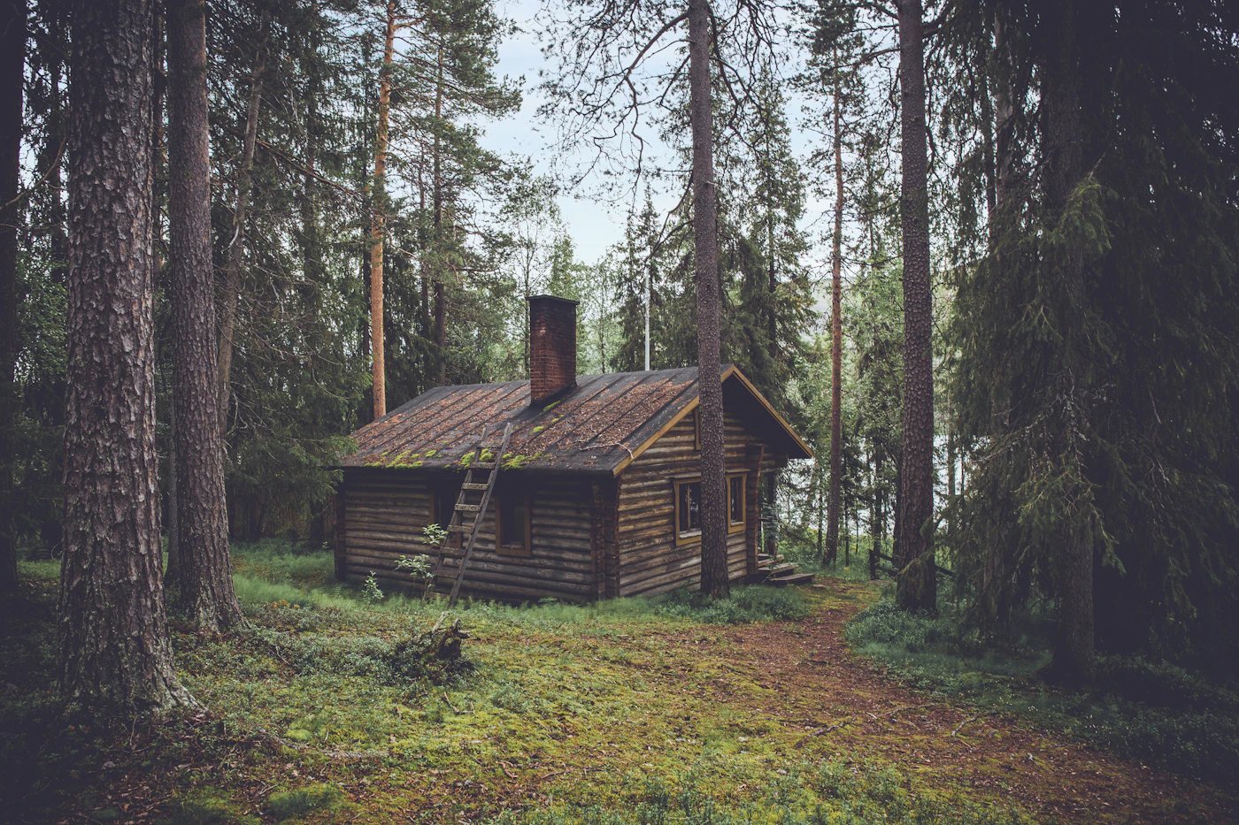 Small wooden cabin surrounded by trees and a grassy clearing