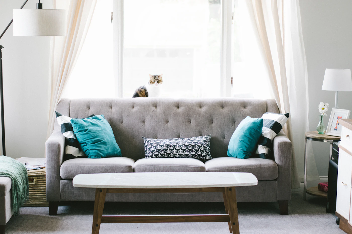 Gray upholstered sofa beside a bright window and a potted plant